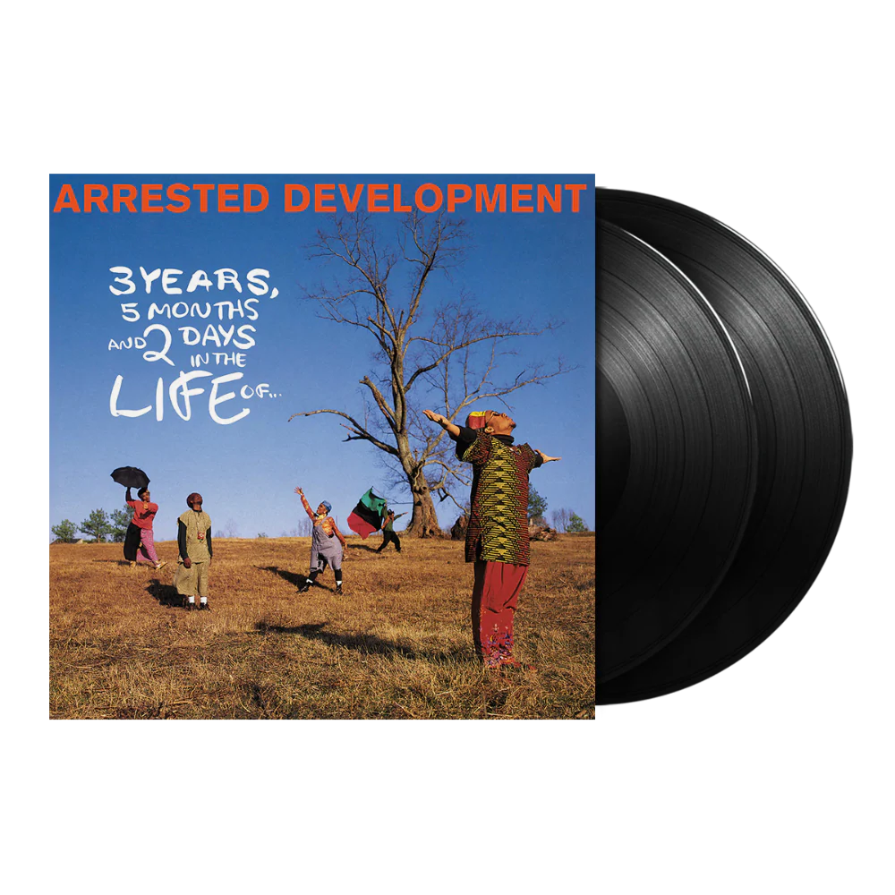 3 Years, 5 Months & 2 Days In The Life Of... 2LP