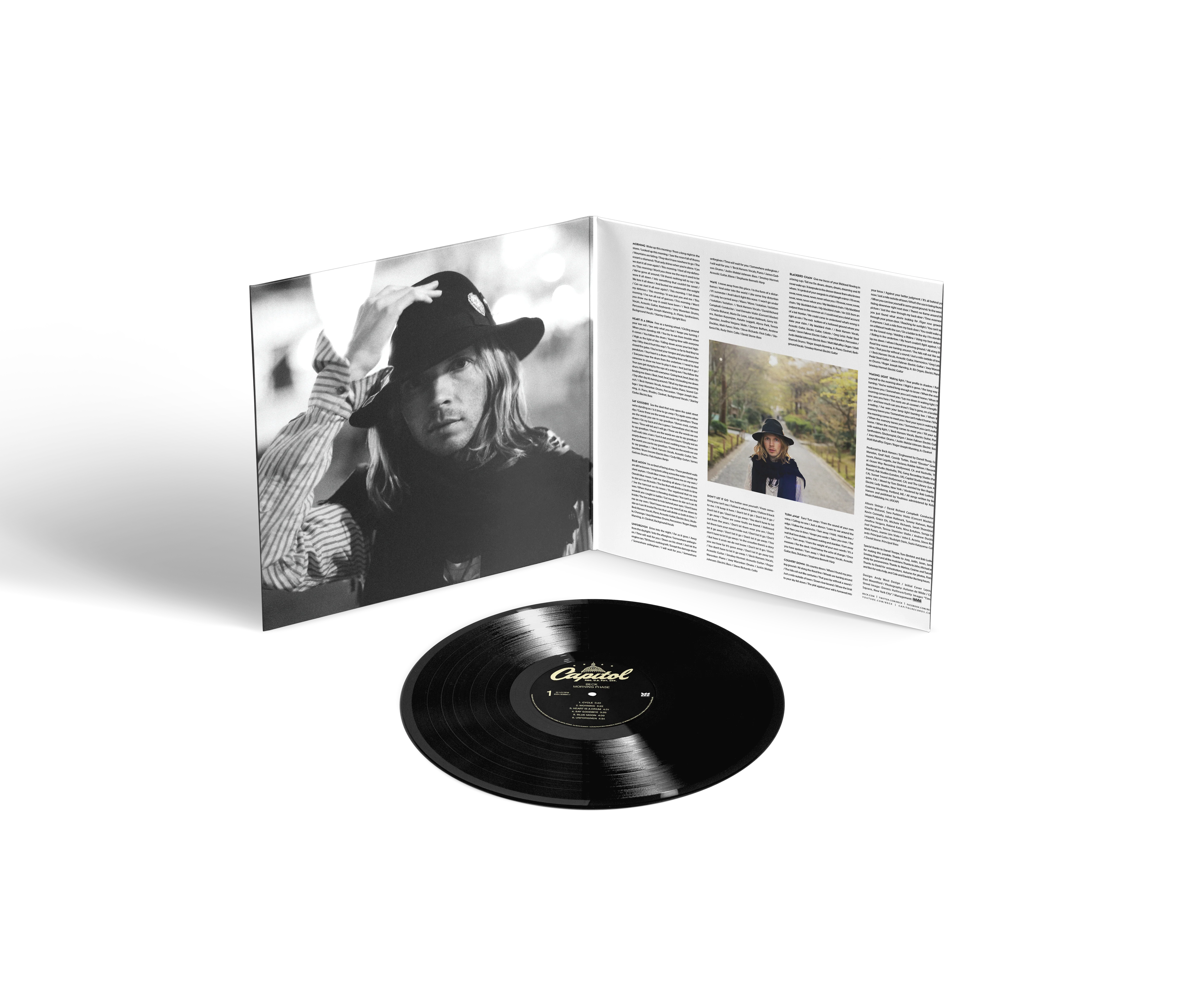 Morning Phase (Definitive Sound Series Audiophile Edition) LP - Image 3