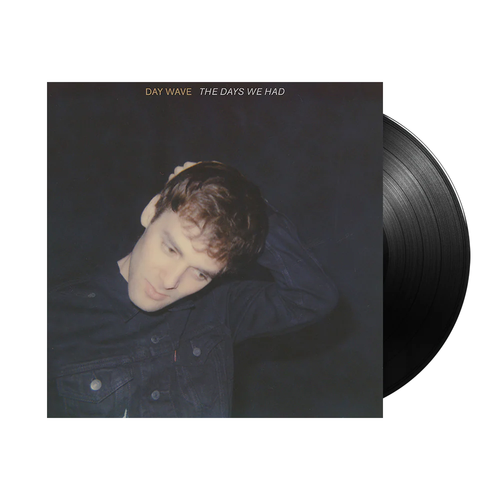 The Days We Had - LP