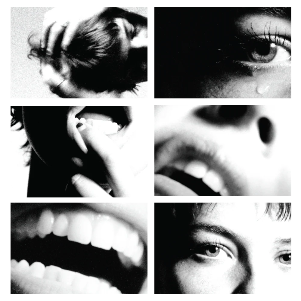 Surrender Box Set - Image 5