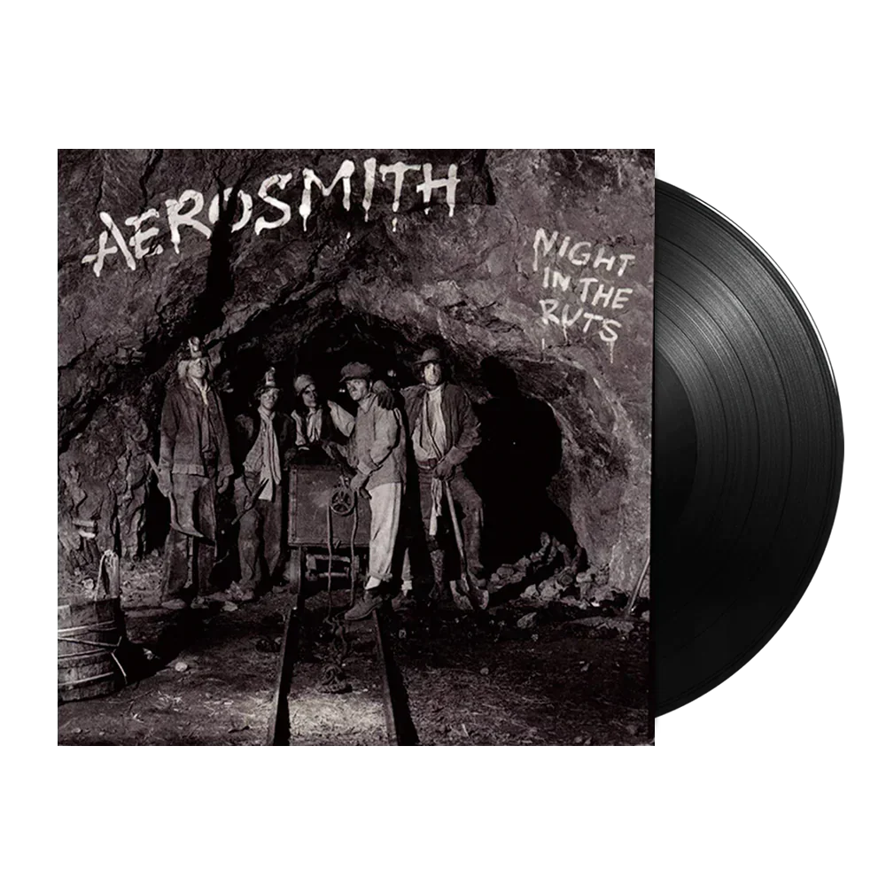 Night In The Ruts 1LP