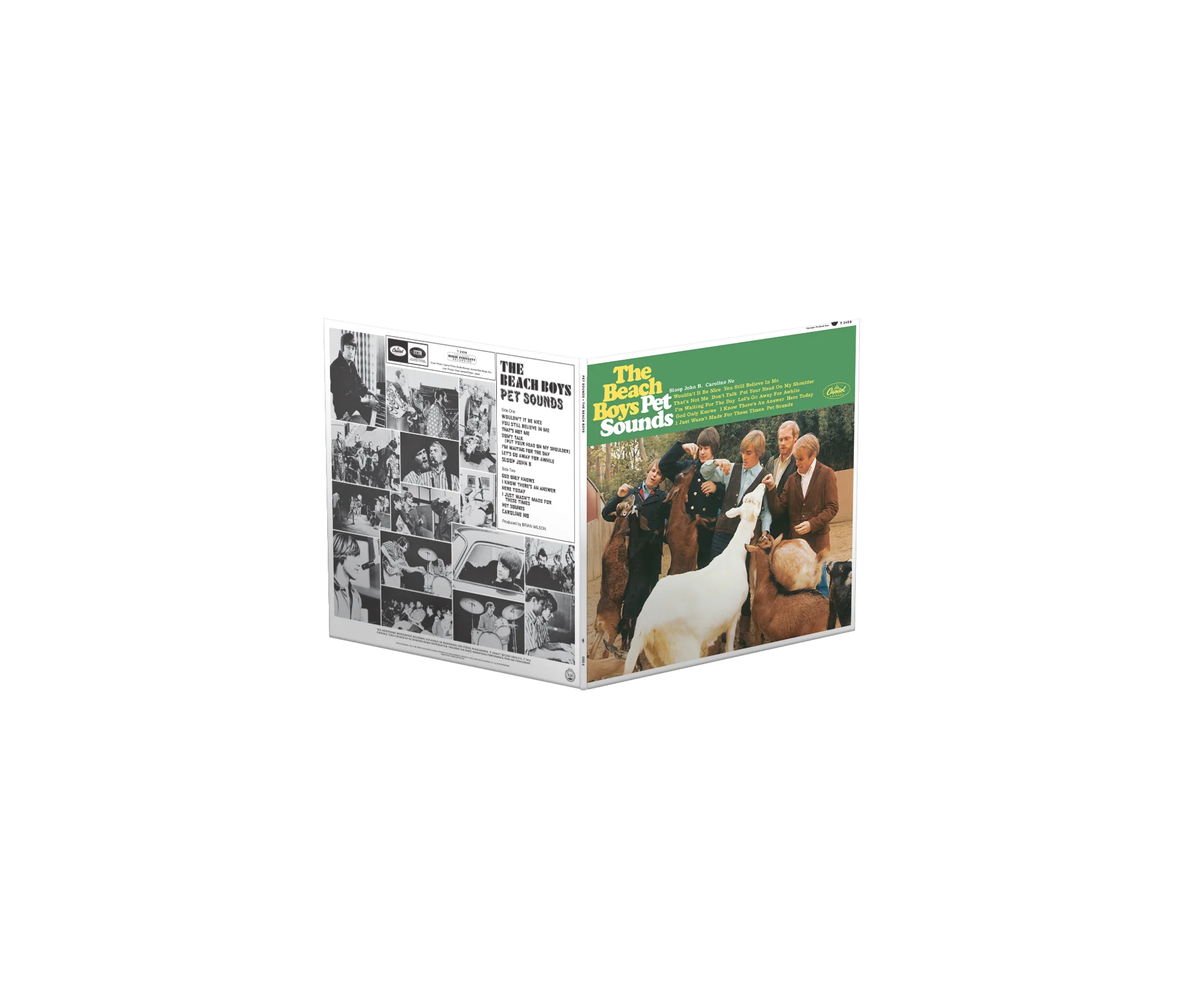 Pet Sounds (Definitive Sound Series Audiophile Edition) LP - Image 3