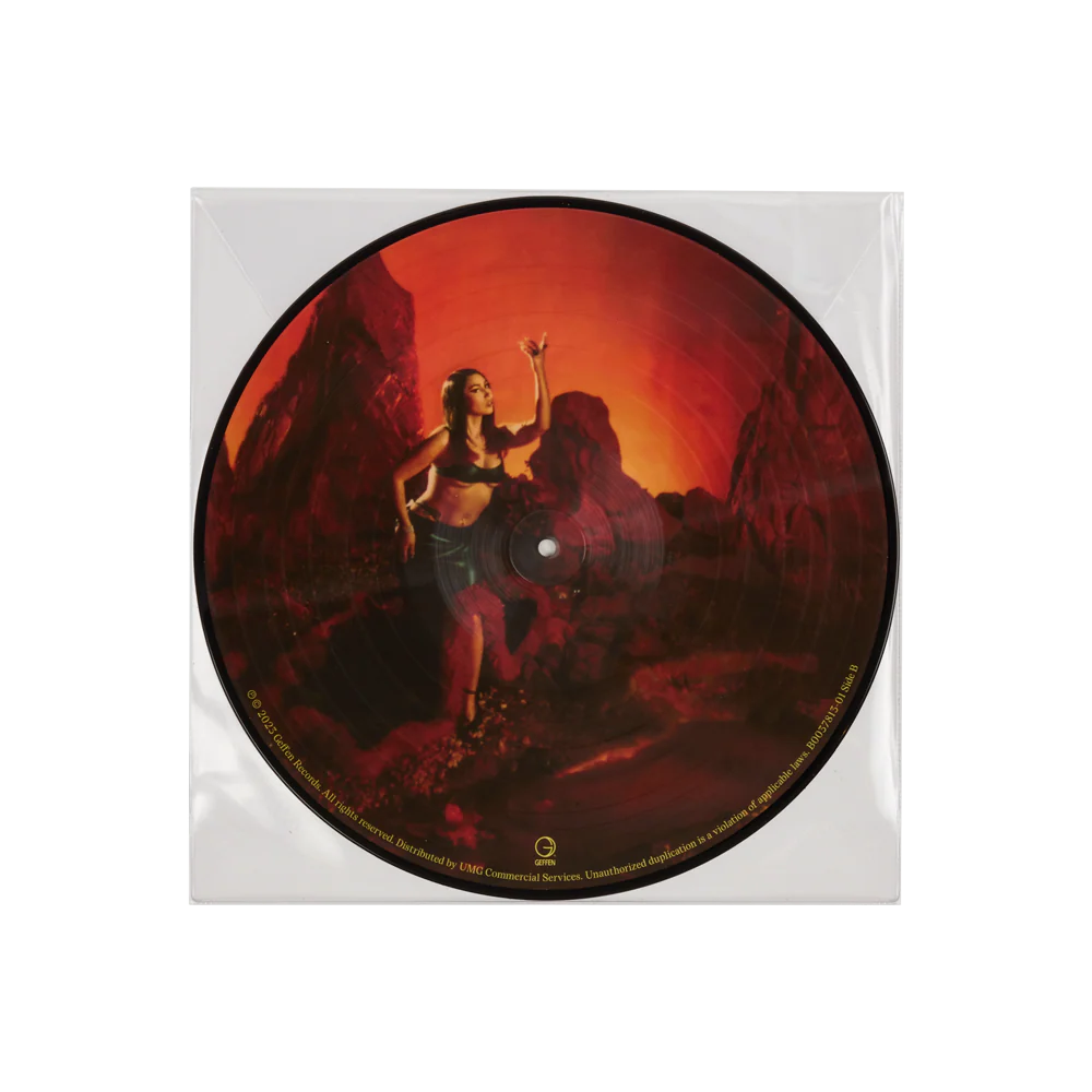 Red Moon in Venus Picture Disc Vinyl - Image 3
