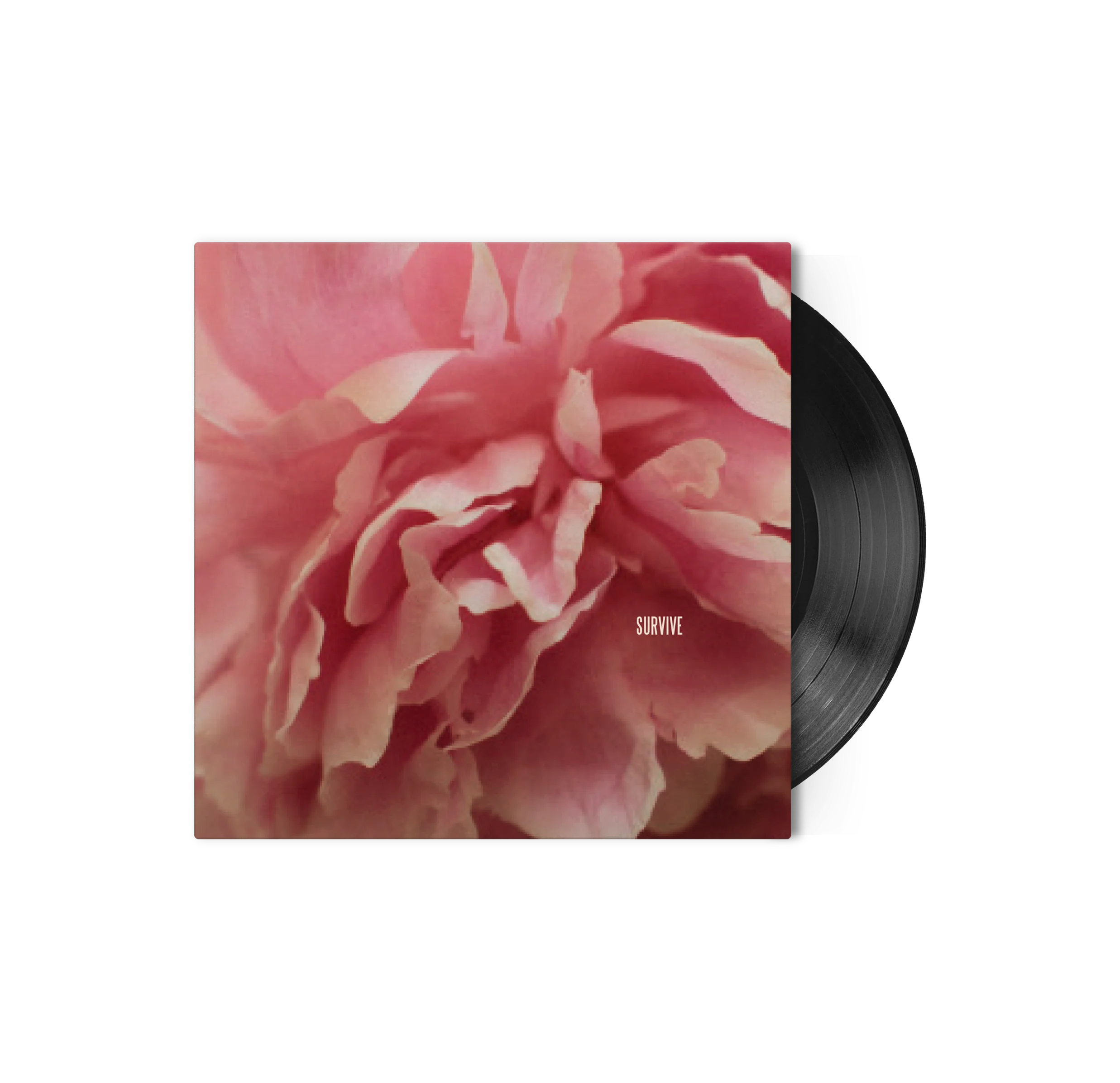 Survive / Survive Live 7"